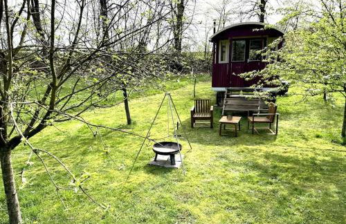Kuscheltage im Zirkuswagen am Kanal im Münsterland - Foto 15