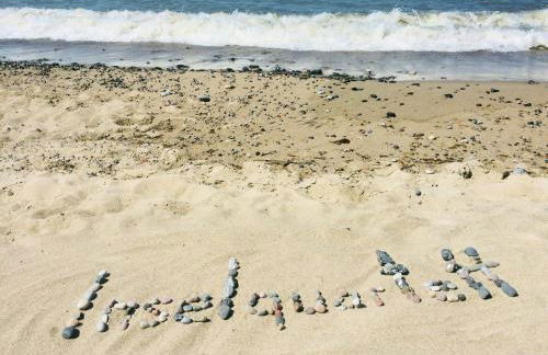 Inselquartett - Fewo Hiddensee - Foto 42