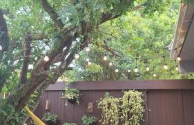 Morada Héstia - Foto 2