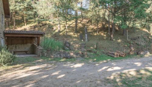 Abissinia, Gioiello nel Bosco - Foto 4