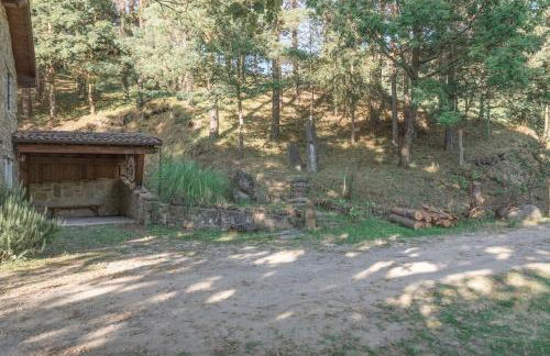 Abissinia, Gioiello nel Bosco - Foto 4