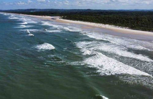 Paraiso Pe na Areia entre Ilheus e Itacaré - Foto 13