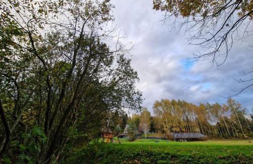 Budzi nas las Marcyporęba - Duży domek - Photo 30