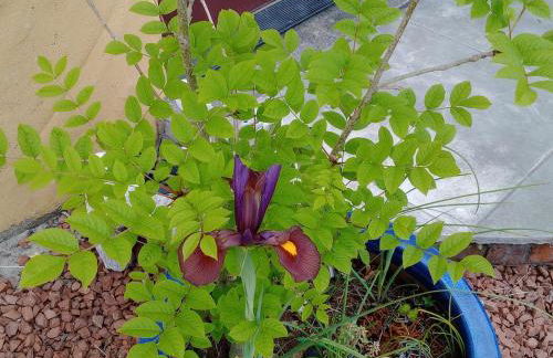 Cosy Rural Gilbert Hights Llandovery Cynghordy - Foto 44