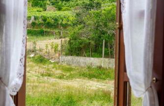 Pazo de Esposende - Foto 76