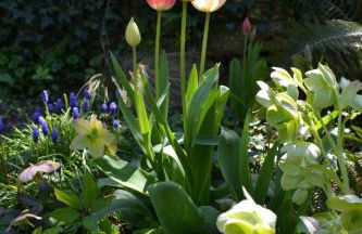 Gîte de charme proche du Zoo Beauval et Châteaux - Photo 48