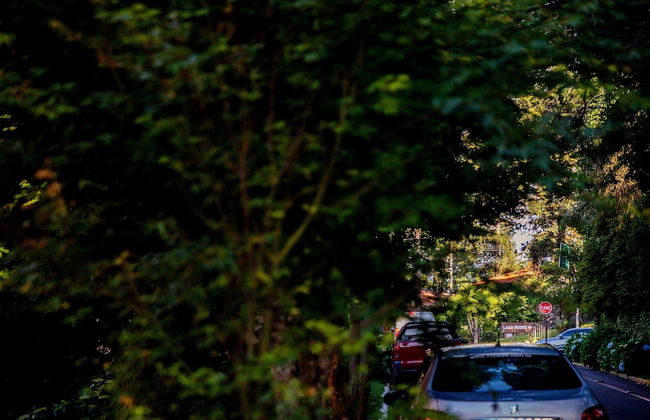 LOCAR-IN GRAMADO- Morada de bergamo - Foto 25