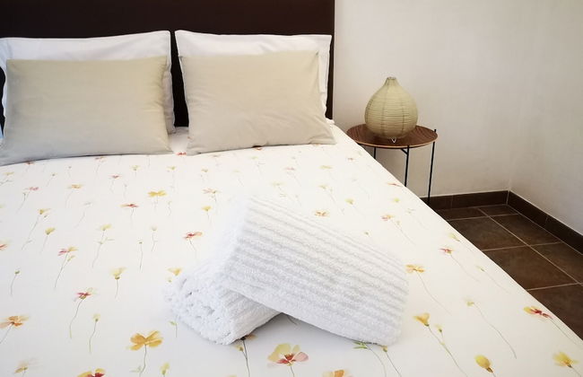 Sobreiros's Villa in Douro Valley - Foto 12