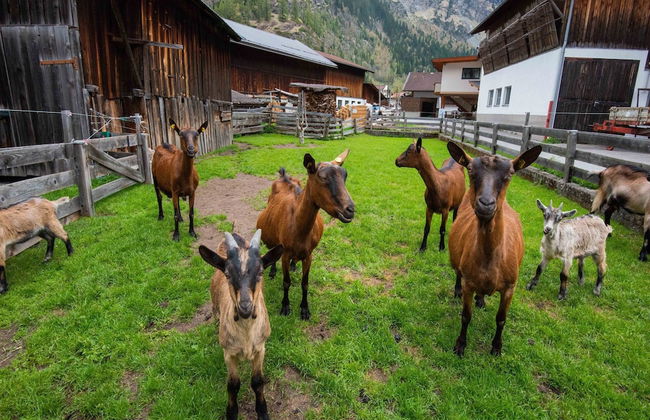 Flat in Langenfeld Near the ski Area - Foto 35