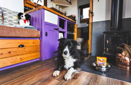 Finest Retreats - Weardale Shepherds Hut - Foto 4