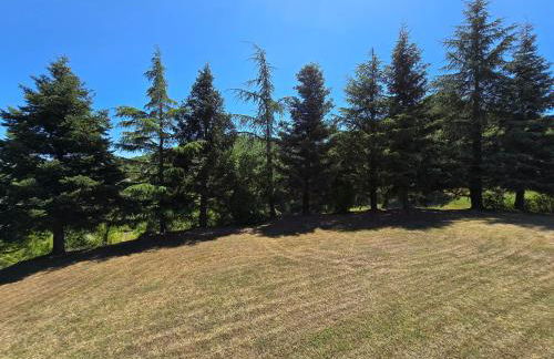 La Cavina 83 Località Fantella - Foto 32