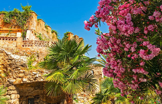 2 Bed Gf Apt Near Puerto Banus - Foto 15