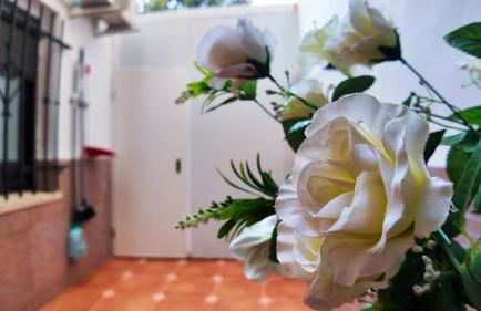 Apartalux Playa Arenal - Foto 13