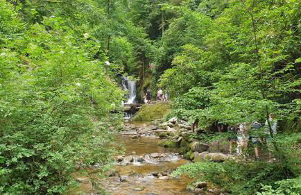 Family Suites & Parking - Foto 38