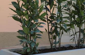 Casa Ercoli BOITO - Foto 34