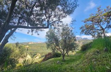 Peloponnese Hideout - White house with the sea view - Photo 79