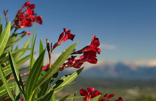 Costa D'Orsola - Foto 14