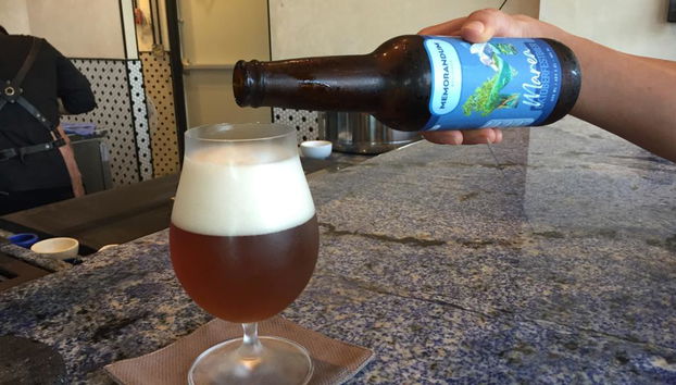 Safari Bière Artisanale et Nourriture de Rue - Photo 5