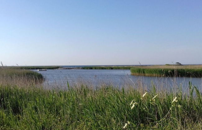 1 in the Maassen Country House - Foto 25