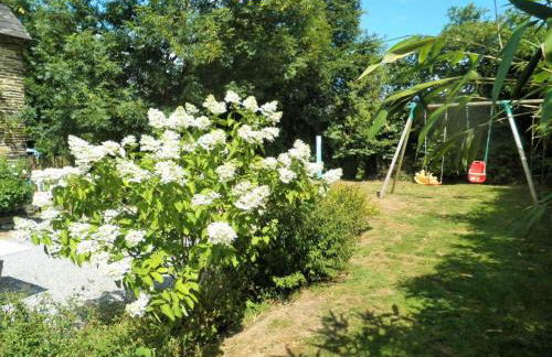 The Barn Owls - Foto 11