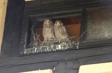 Rittergut Reudnitz - Foto 1