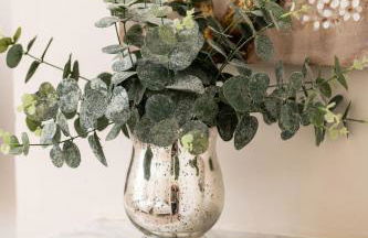 Downwood Vineyard Manor House in Idyllic Countryside - Photo 52