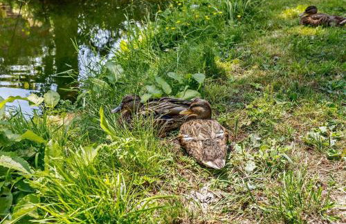 2 Bed in Okehampton oc-92385 - Photo 24