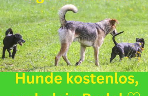 Ferienwohnung Am Feldrain Urlaub mit Hund im Weserbergland - Photo 18