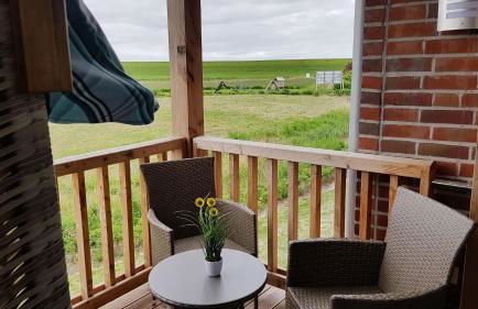 Wremer Seemöwe - Foto 15