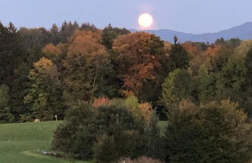 Ferienwohnung Aubach - Foto 7