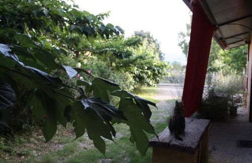 Domus Sol Aria - Foto 17