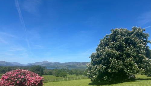 Ardenvhor - Loch Lomond - Foto 2