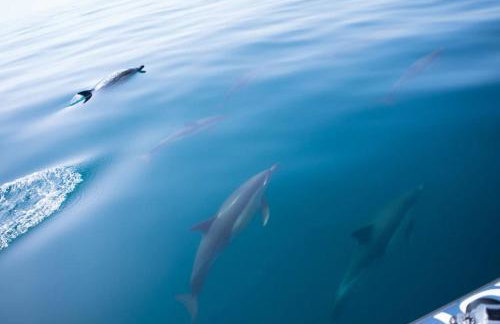 Casinha Canal - Beautifully restored Moroccan inspired townhouse in Lagos historic centre - Foto 34