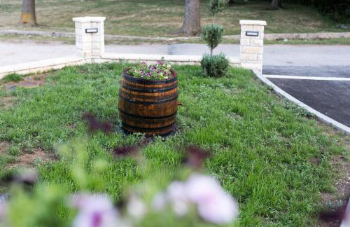 Wood Fairy - Foto 31