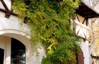 Pałac Rząsiny - Foto 16