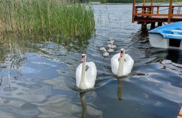 Dom wypoczynkowy Sosenka - Foto 76