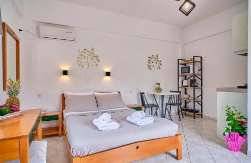 Logas Beach Studios Peroulades Corfu - Foto 23