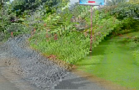 Lingkung Park Tetebatu - Foto 1