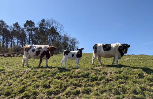 The Bothy at High Frost Hall - Foto 20
