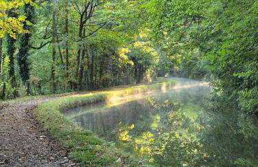 Little Plas - Foto 7