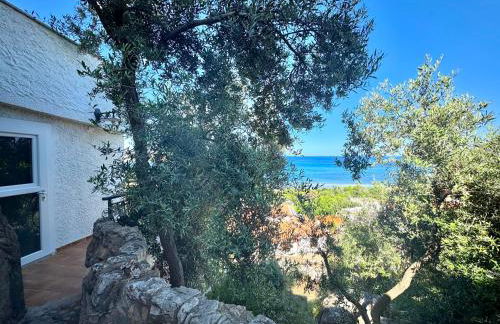 Sea View Joy Collection - Foto 21