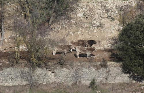 Casa Mestres - Foto 47