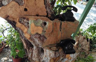 Asmanis Rooms - Photo 52