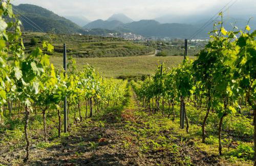 Chalet Tenuta Lacco - Foto 27