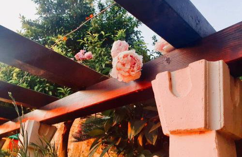 Dalmatian House, spacious stone terraces, balcony , views - Foto 47