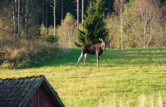 5 Person Holiday Home in Hedekas - Foto 19