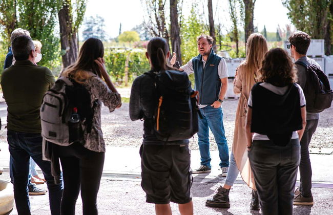 Tour do Malbec pela zona vitívinicola de Luján de Cuyo - Foto 9