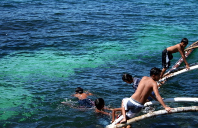 Tour à l'île de Balicasag - Photo 6