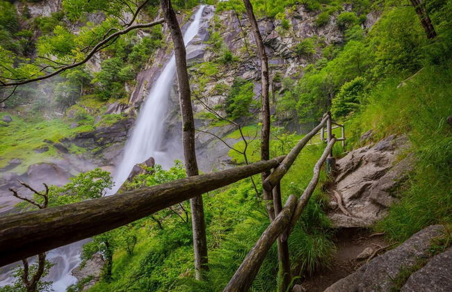 Divina Minusio in Minusio Locarno - Foto 14