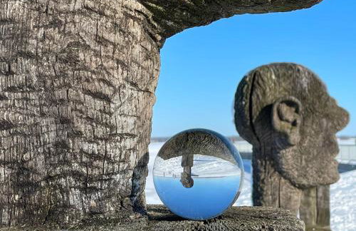 Urlaub nahe der Peene nähe der Ostsee - Foto 11